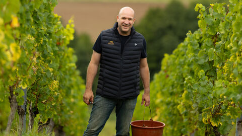 Weinbauminister Ingmar Jung bei der Weinlese